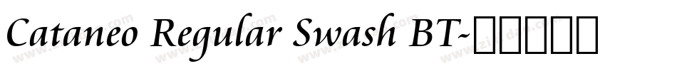 Cataneo Regular Swash BT字体转换